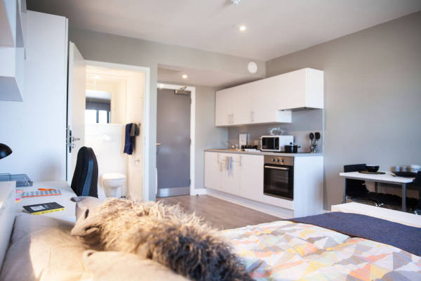 Pros and cons of London student residence halls,Economical student apartments in London