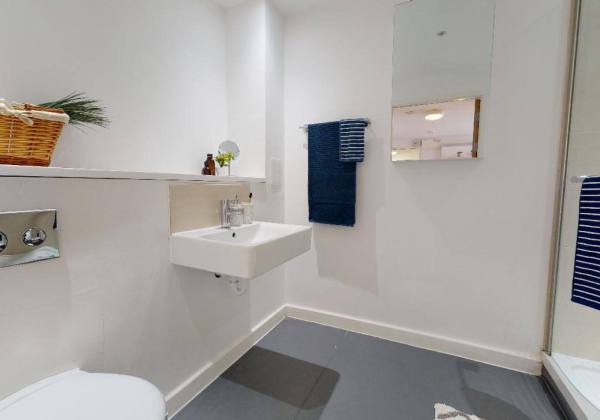 Furnished vs unfurnished student apartments in Auckland,Affordable student studio flats Auckland