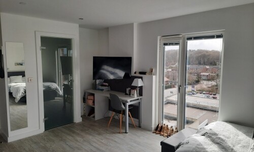 Furnished vs unfurnished student apartments in Bristol,Affordable student en-suite Bristol rentals