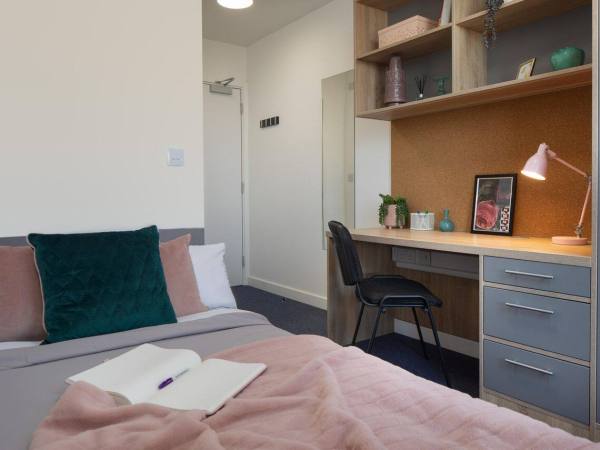 Things to check before signing a lease in Auckland,Budget-friendly student hostels in Auckland