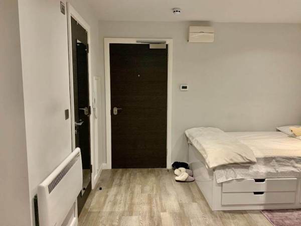 London student housing guide,Are pets allowed in London student apartments?