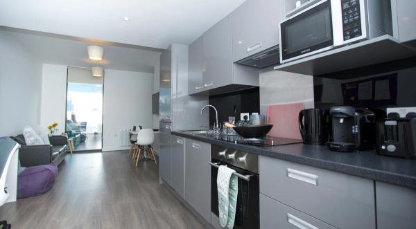 Recommendations for Swansea student housing agencies,Best value student flats in Swansea