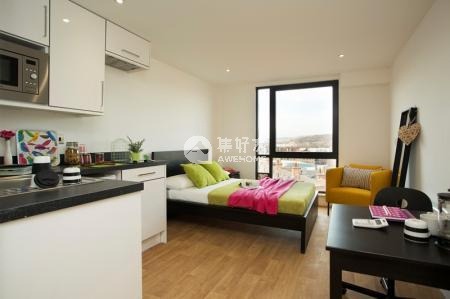 Pros and cons of London student residence halls,Economical student apartments in London