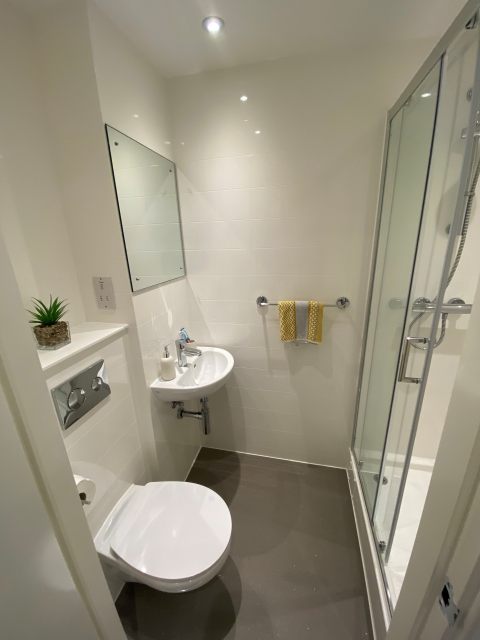 Shared student apartments in Auckland pros and cons,Auckland student accommodation special offers