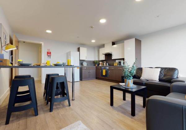 Shared student apartments in London pros and cons,Yearly student housing lease costs London