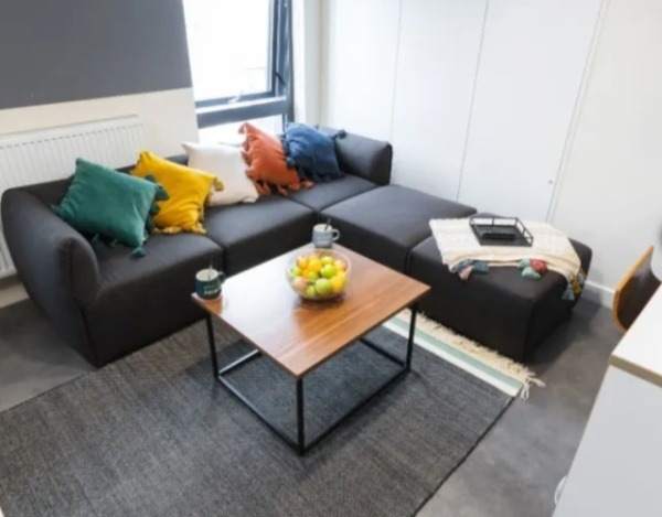 Shared student apartments in Sydney pros and cons,Sydney student accommodation price trends