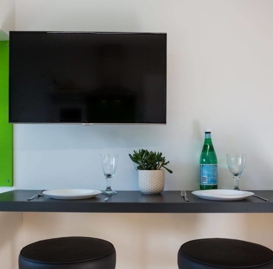 Shared student apartments in London pros and cons,London student housing near campus prices