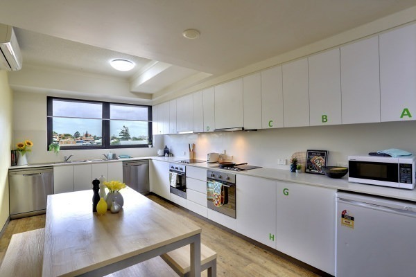 Shared student apartments in London pros and cons,Affordable student studio flats London