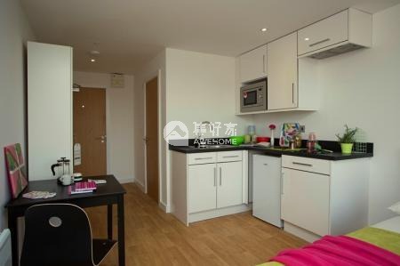 London student housing guide,Are pets allowed in London student apartments?