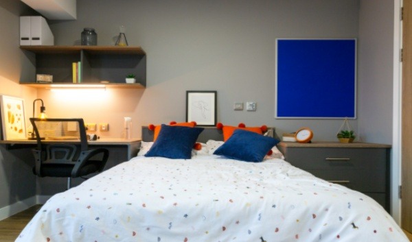 Dublin student accommodation cultural integration tips,Dublin student housing price range