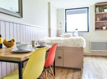 Shared student apartments in Essex pros and cons,Essex student accommodation deposit amount