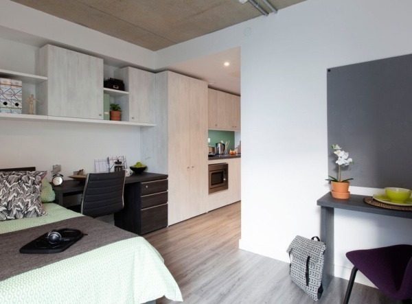 Shared student apartments in London pros and cons,Safe neighborhoods in London for students.