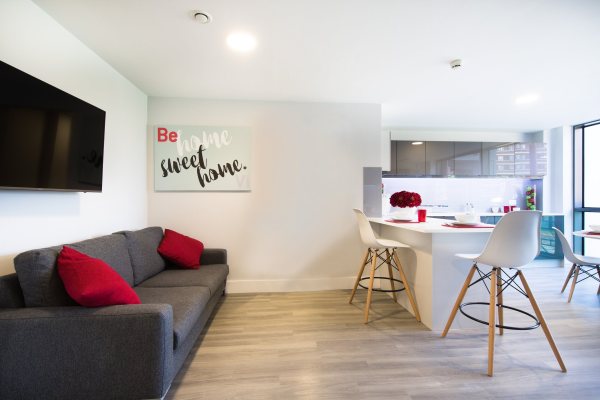 Shared student apartments in Dublin pros and cons,Dublin student flats with a balcony.