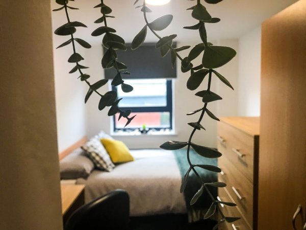 Safe areas in Newcastle for international students to live,Student accommodation promotions Newcastle