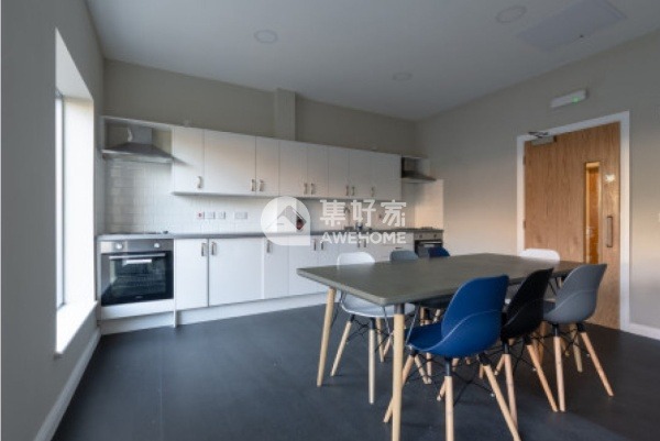 Furnished vs unfurnished student apartments in London,London student flats with a balcony.