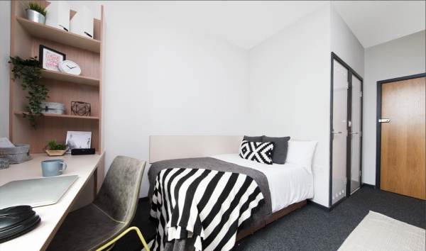 Furnished vs unfurnished student apartments in Auckland,Auckland student accommodation price trends