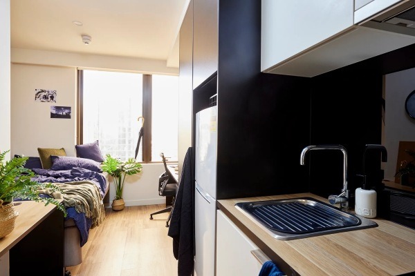 Shared student apartments in London pros and cons,London student housing near campus prices