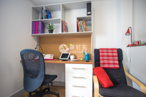 Pros and cons of London student residence halls,Budget student apartments London