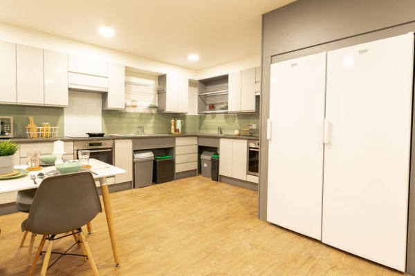 Finding roommates for London student flats,Economical student apartments in London