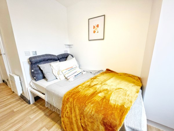 Pros and cons of London student residence halls,London student housing near campus prices