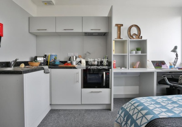 Furnished vs unfurnished student apartments in London,London student housing price range