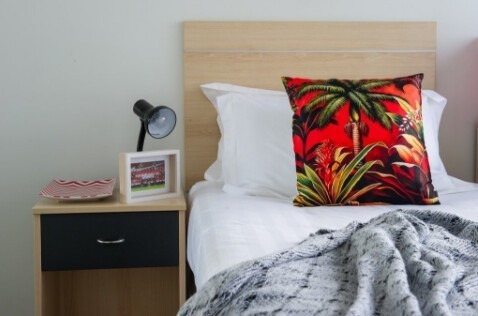 Auckland university campus vs off-campus housing,Auckland student accommodation monthly rent