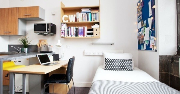 Pros and cons of London student residence halls,Affordable student studio flats London