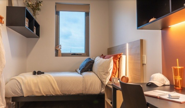 Pros and cons of NewYork student residence halls,Budget-friendly student hostels in NewYork