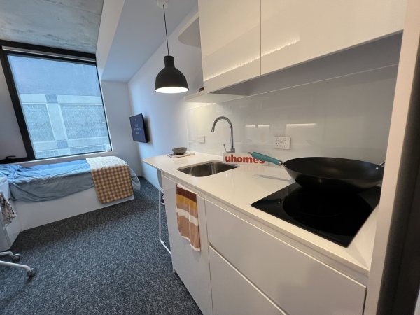 Pros and cons of London student residence halls,Pricing for student flats in central London