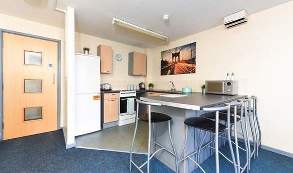 Shared student apartments in London pros and cons,Affordable student studio flats London