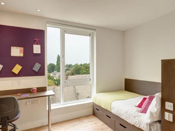 Winchester student accommodation cultural integration tips,Student shared apartments Winchester pricing