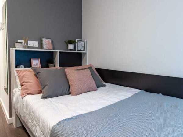 London student housing guide,London student accommodation price trends