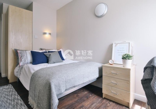 London student accommodation near top universities,London city center student flat rents