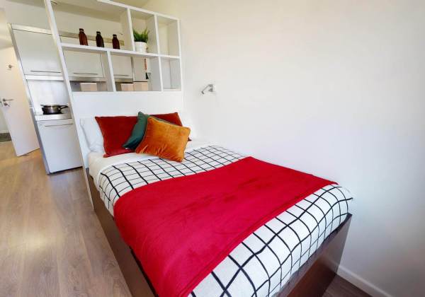 Shared student apartments in London pros and cons,Pricing for student flats in central London