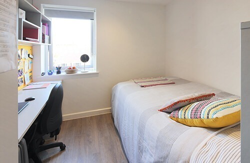 London university campus vs off-campus housing,Student studio apartments in London prices