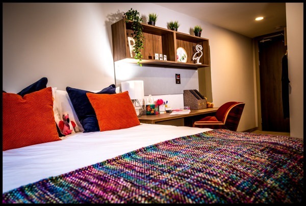 Short-term student rentals in Canterbury,Canterbury student accommodation price trends