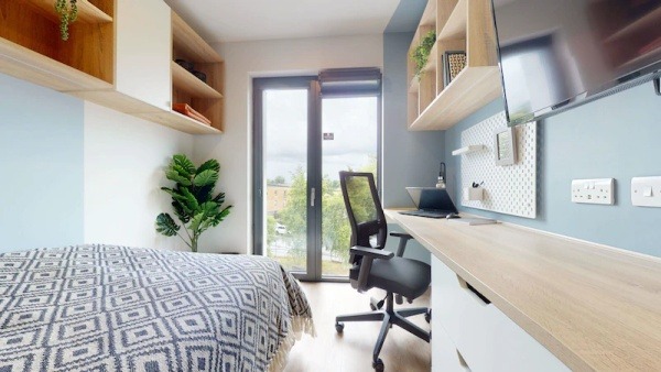 Shared student apartments in Auckland pros and cons,Affordable student studio flats Auckland