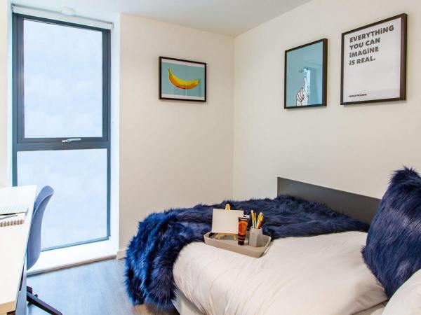 Shared student apartments in Dublin pros and cons,Affordable student studio flats Dublin