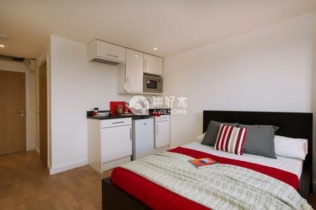 Pros and cons of London student residence halls,London international student housing prices