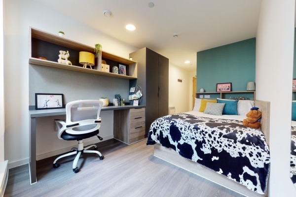 Advantages of en-suite rooms in Swansea student housing,Budget student apartments Swansea