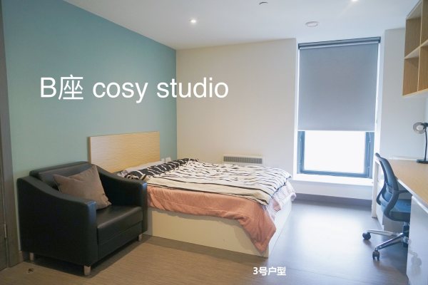 Furnished vs unfurnished student apartments in Singapore,Yearly student housing lease costs Singapore