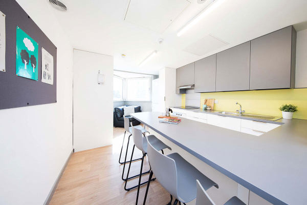 London student accommodation cultural integration tips,Best priced student housing in London