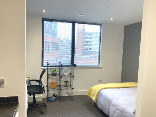 International student rights when renting in Sydney,Sydney international student housing prices