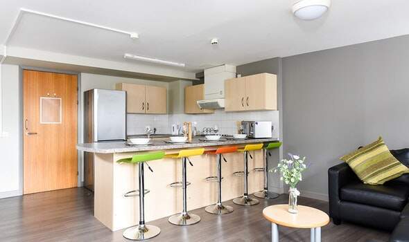 Shared student apartments in Auckland pros and cons,Affordable student studio flats Auckland