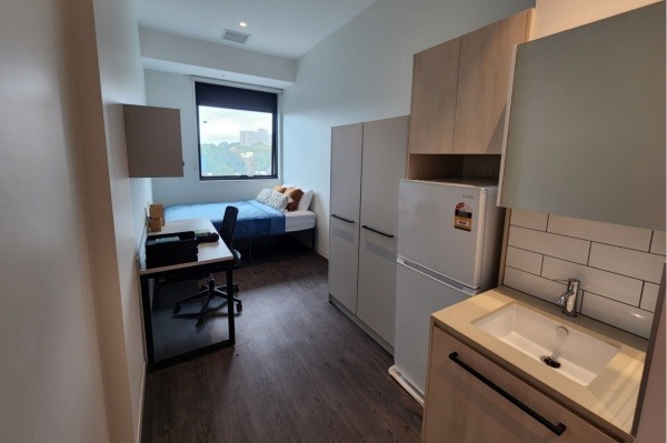 Pros and cons of London student residence halls,Semester-based student housing prices in London