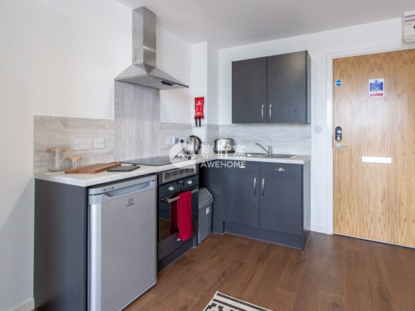 London student accommodation application process,Budget-friendly student hostels in London