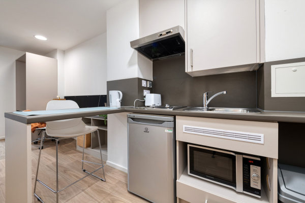 London student accommodation cultural integration tips,Pricing for student flats in central London