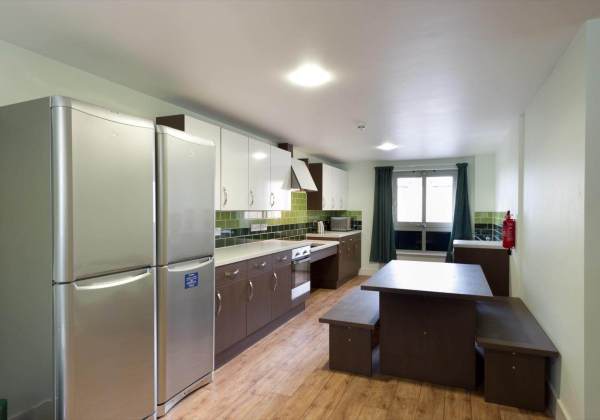 Shared student apartments in London pros and cons,Yearly student housing lease costs London