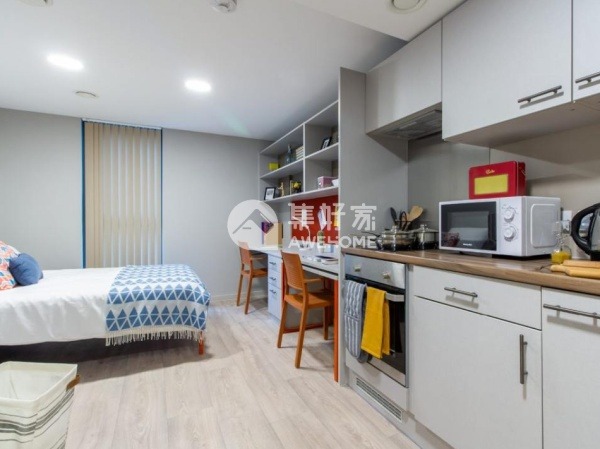 Shared student apartments in London pros and cons,Affordable student studio flats London