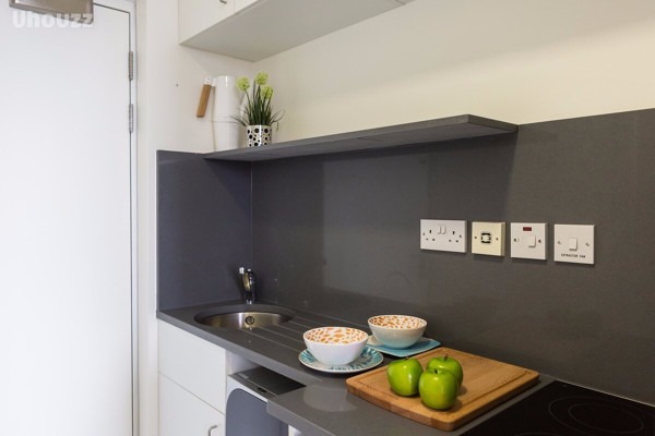 Shared student apartments in London pros and cons,Discounted student accommodation London